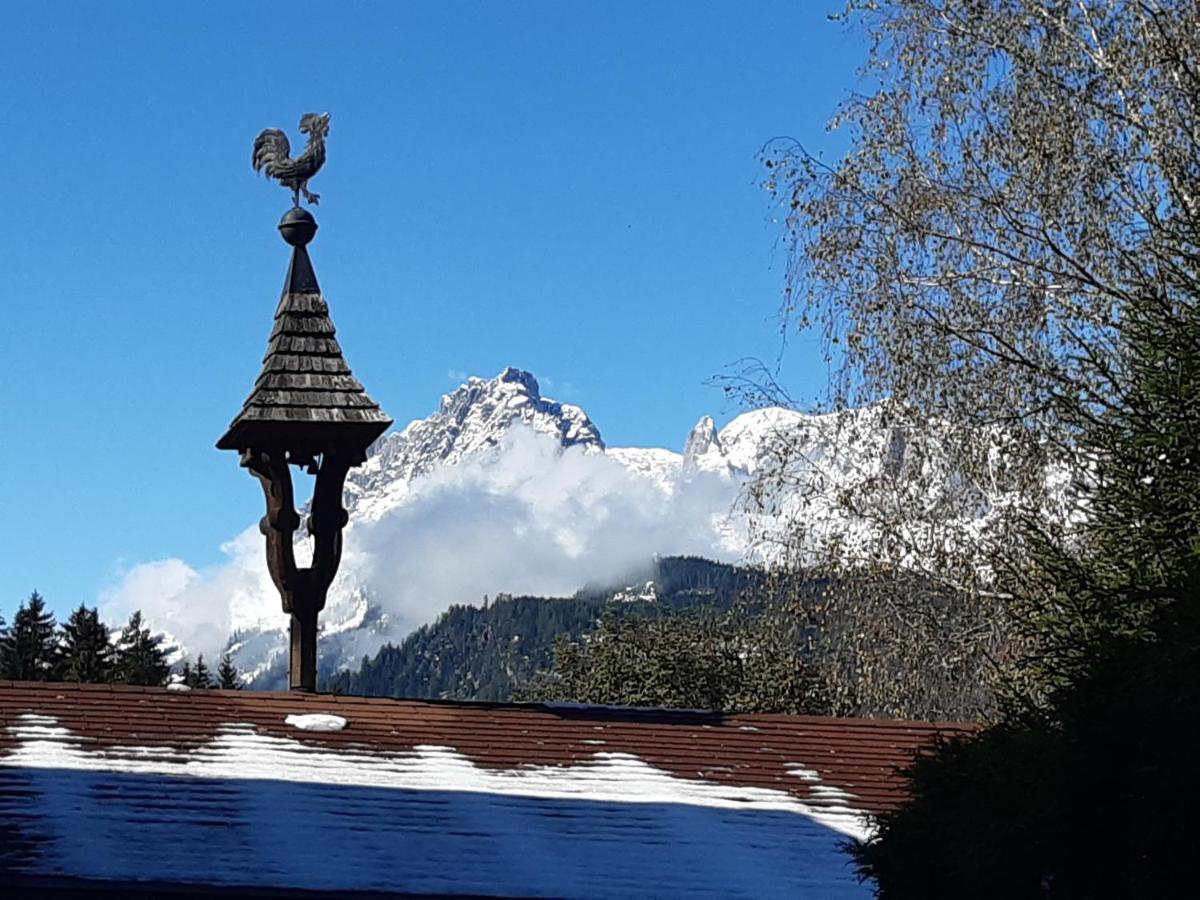 Apartament Steinberger *