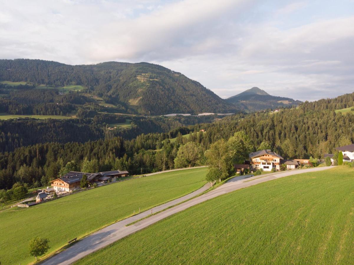 Steinberger * Bischofshofen