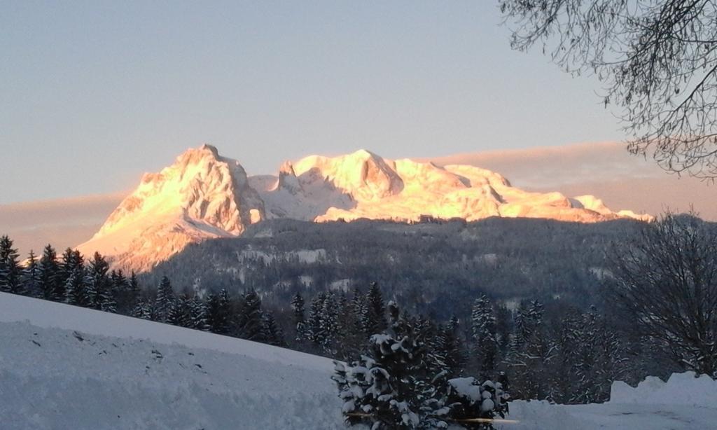 Apartament Steinberger