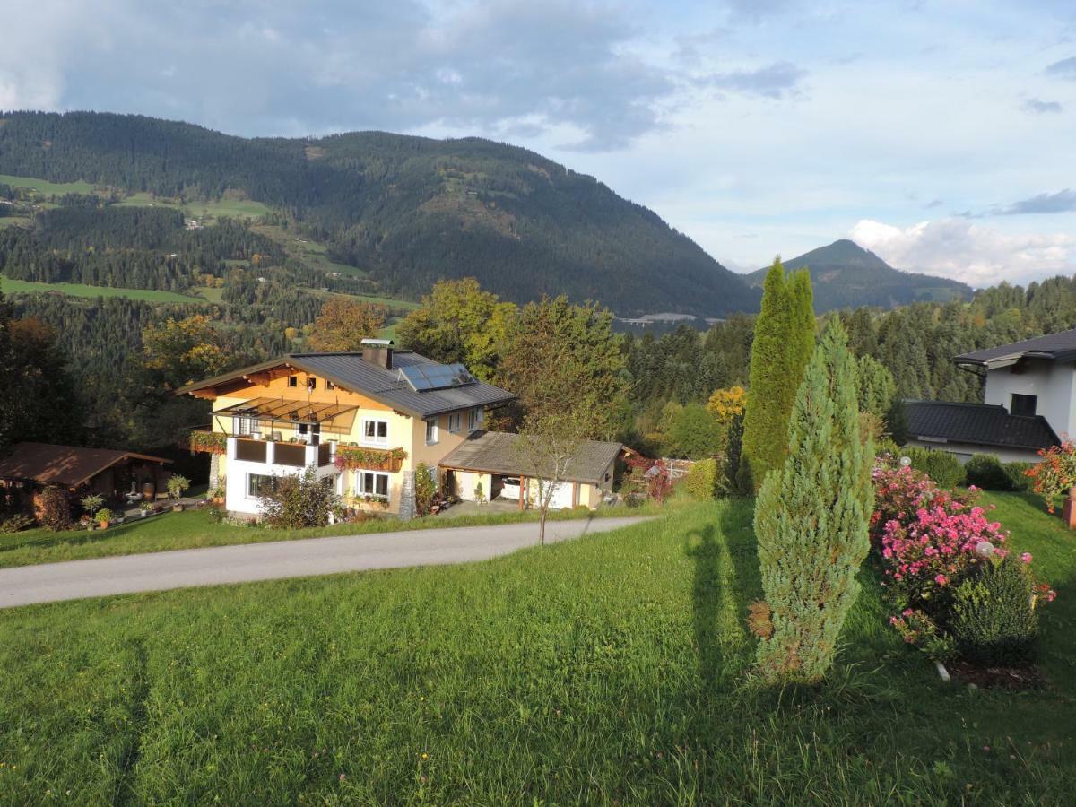 Steinberger Apartament