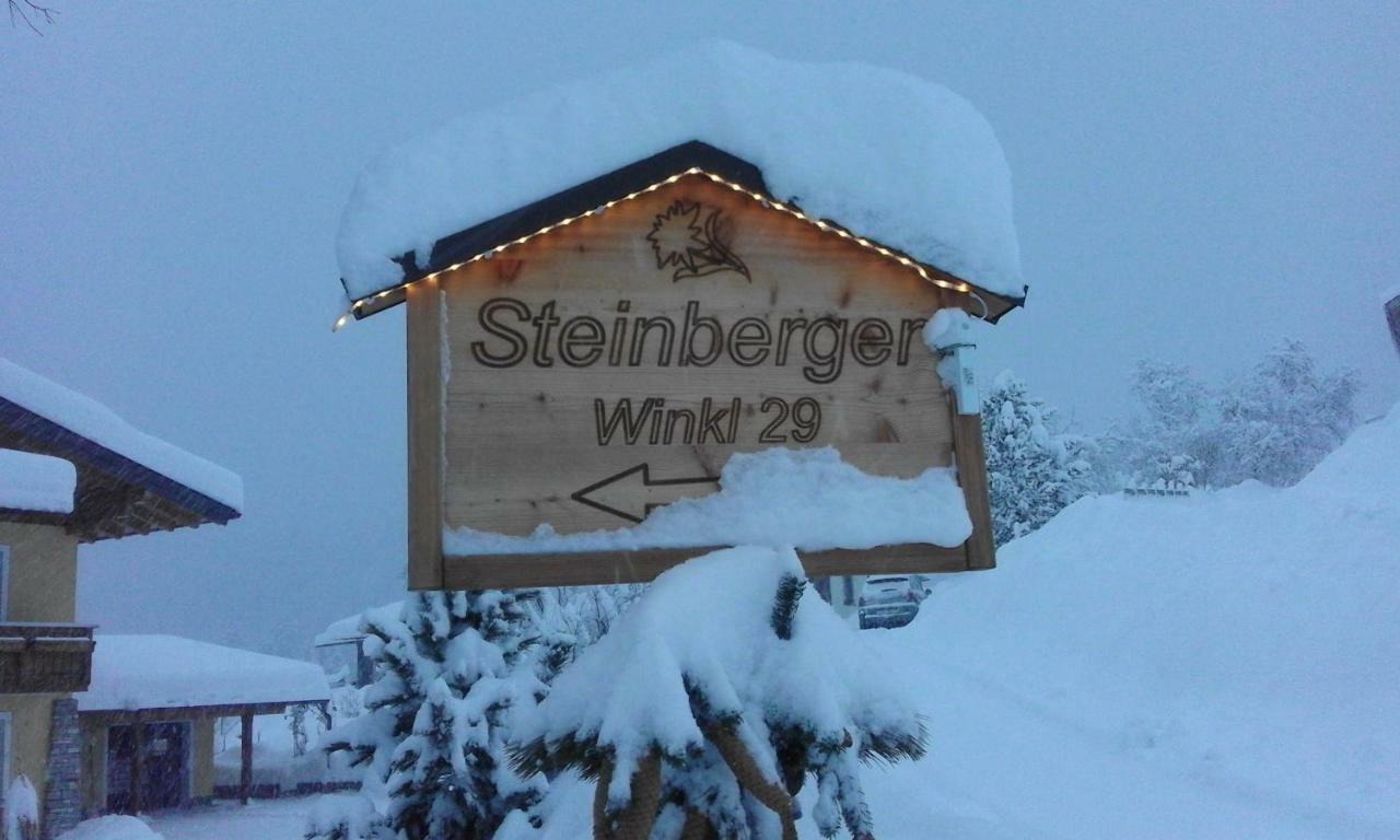 Steinberger *